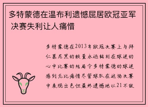 多特蒙德在温布利遗憾屈居欧冠亚军 决赛失利让人痛惜